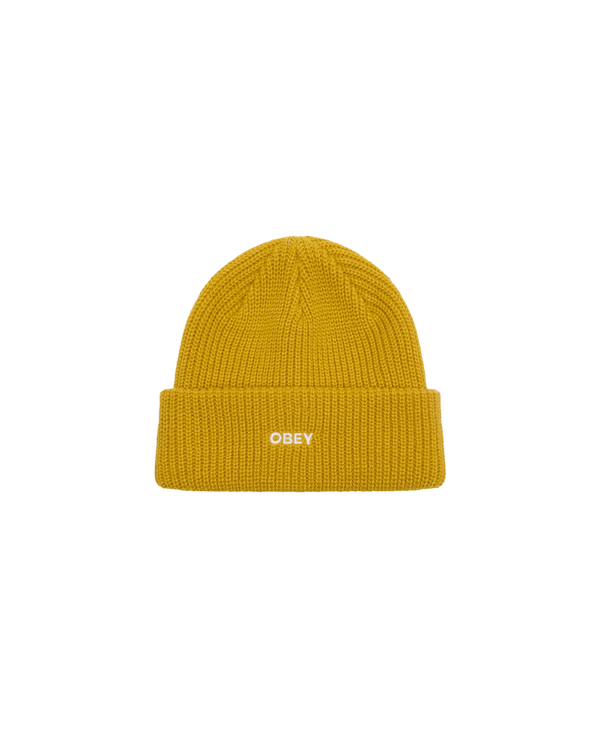 Future Beanie