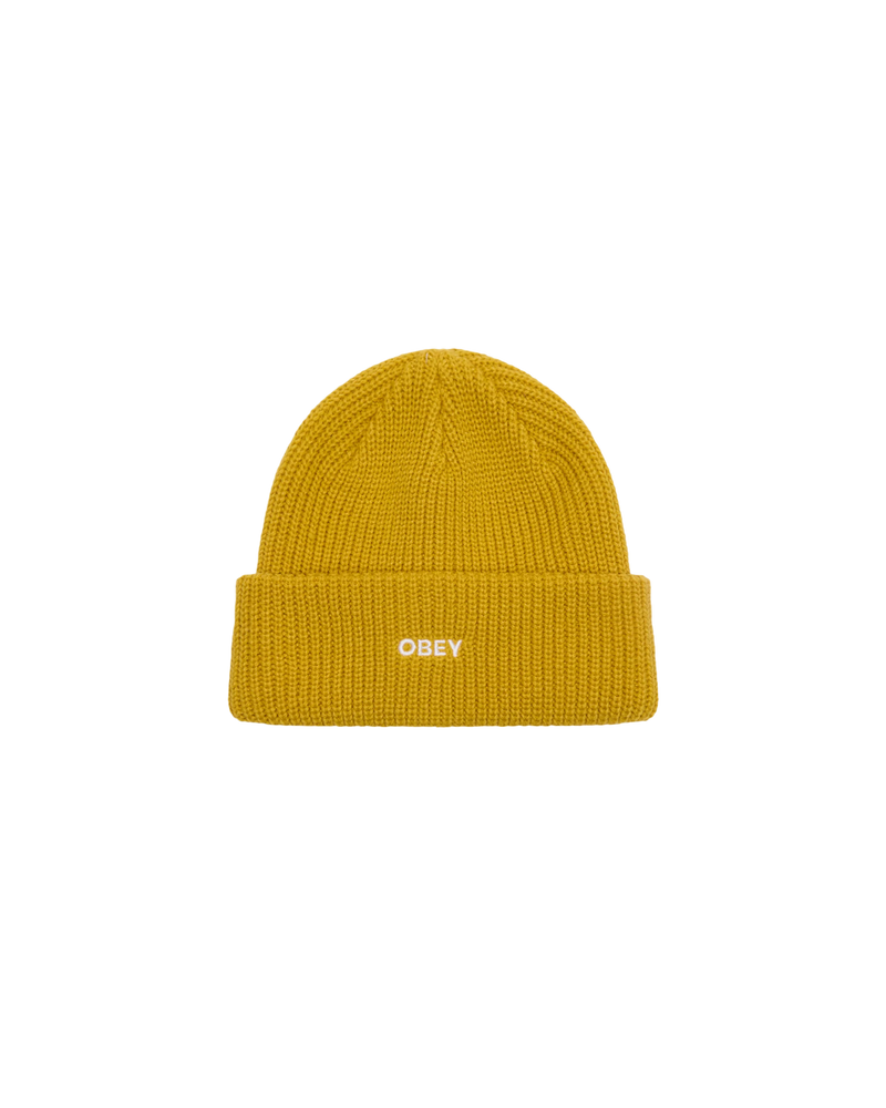 Future Beanie