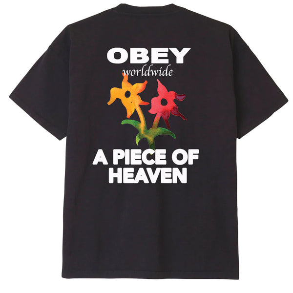 A piece of heaven heavyweight t-shirt