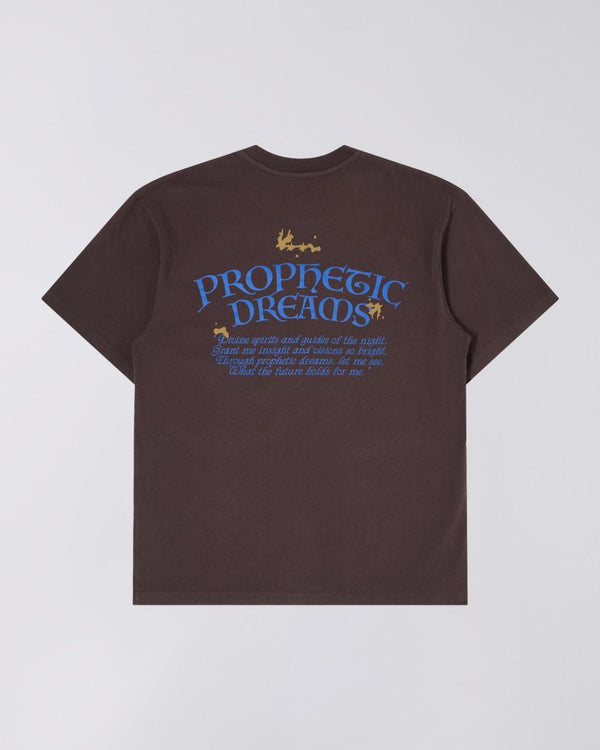 Prophetic Dreams TS