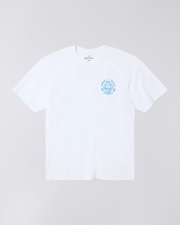 EMC Various Ts