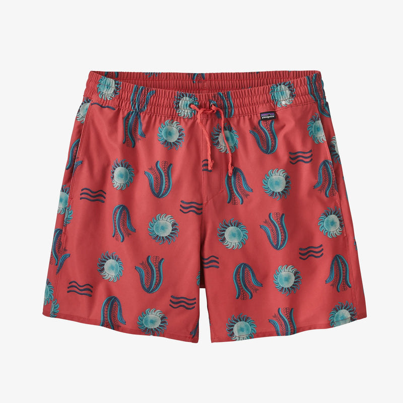 M's Hydropeack Volley Shorts